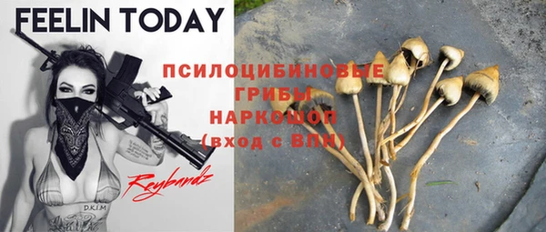 прущая мука Армянск