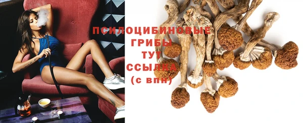 сатива Нея
